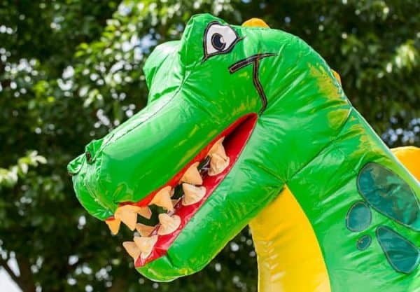 Dino slide combi - Afbeelding 3